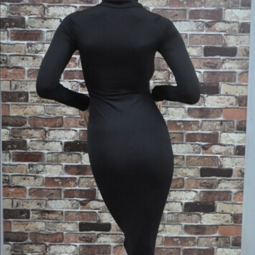 NWT Ladies Long Sleeved Turtle neck dress Sz med - Picture 4 of 5